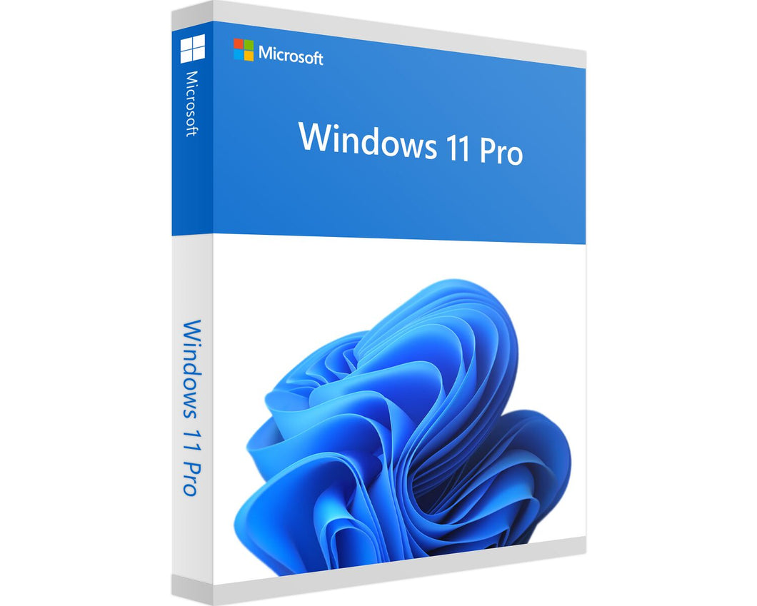 Windows 11 Pro - Instant Soft